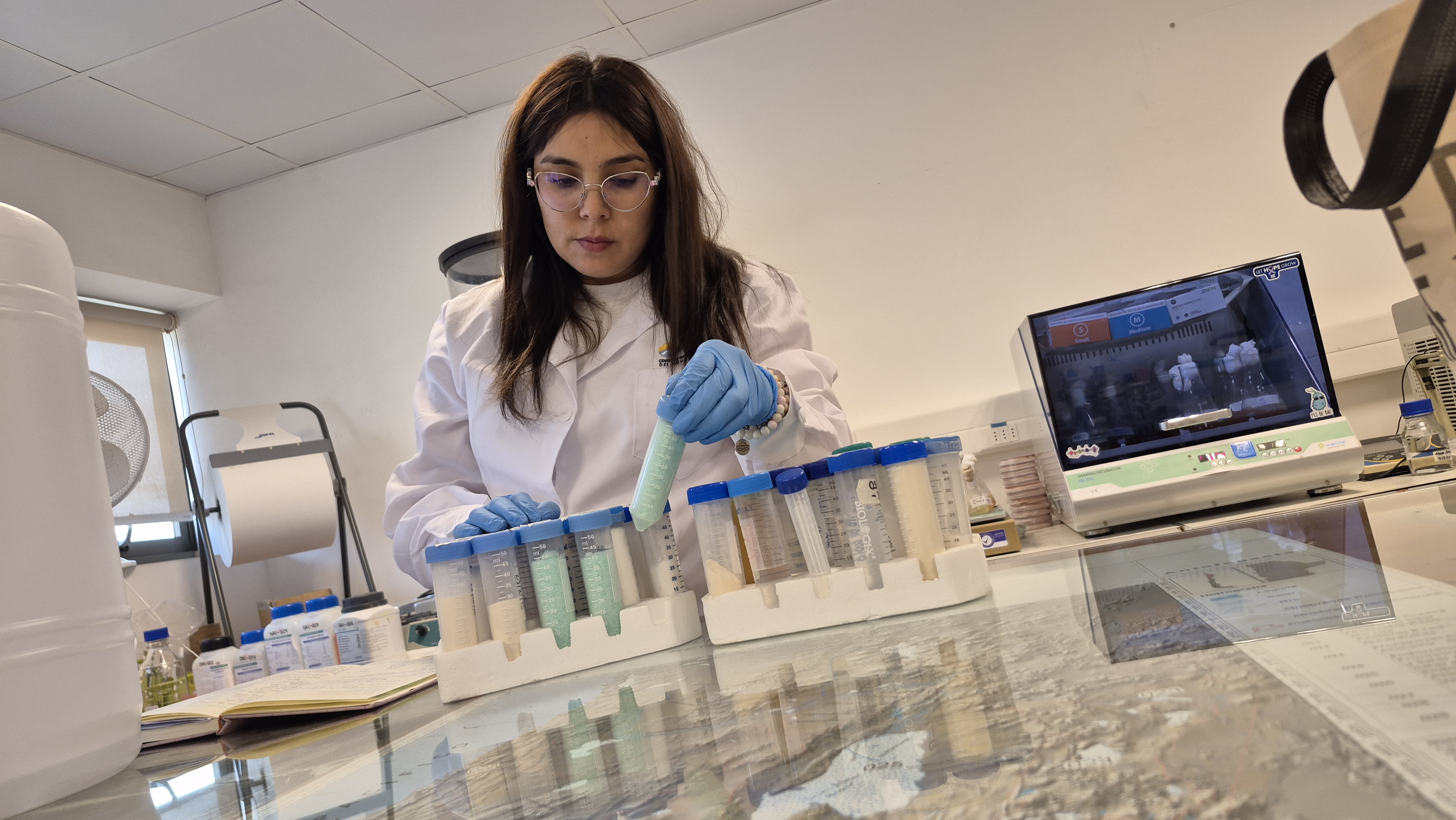 ANID y Comisión Fulbright abren convocatoria de Becas de Doctorado BIO para estudiar en Estados Unidos